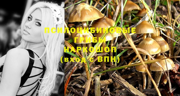 марихуана Белокуриха